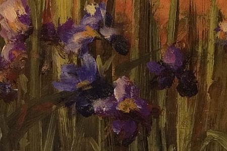 Фрагмент Iris Sunrise.