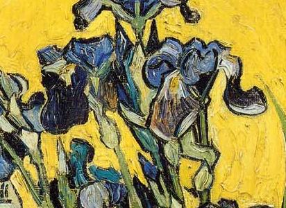 Фрагмент Ирисы