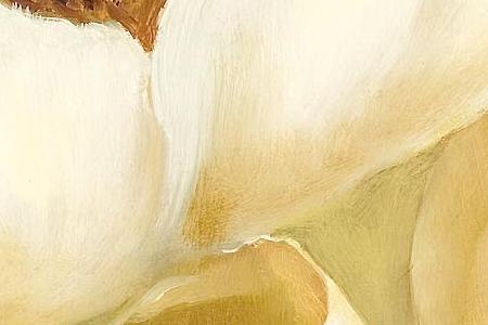 Фрагмент Ivory Primrose