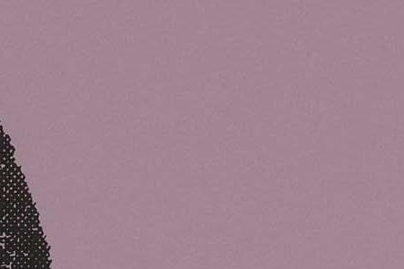 Фрагмент JACQUELINE KENNEDY двойной портрет