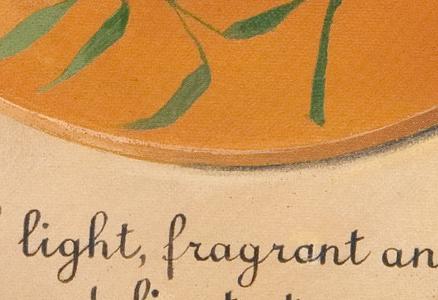 Фрагмент Jasmine  tea.