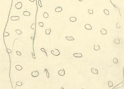 Фрагмент KARIERTER BLUSE