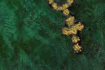 Фрагмент Kees van Dongen