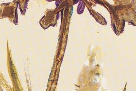 Фрагмент Композиция 7-1