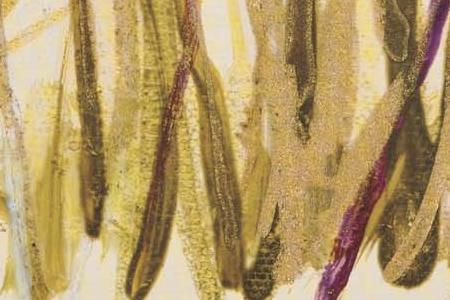 Фрагмент Композиция 7-2