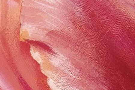 Фрагмент Композиция из красных тюльпанов