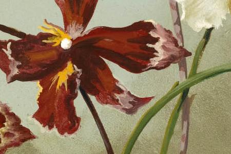 Фрагмент Композиция из орхидеи