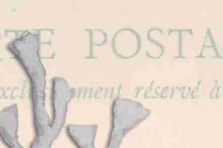 Фрагмент Кораловая ветвь