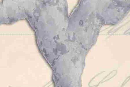 Фрагмент Кораловая ветвь