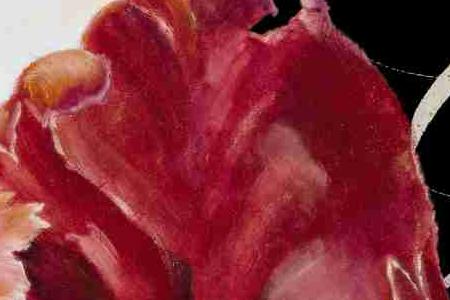 Фрагмент Королевский тюльпан 1