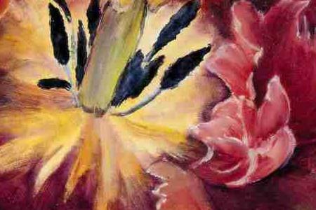 Фрагмент Королевский тюльпан 1