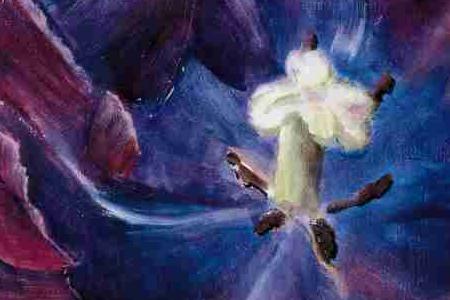 Фрагмент Королевский тюльпан 2