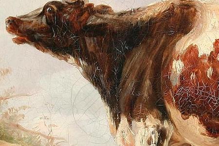 Фрагмент Коровы пасуться в поле