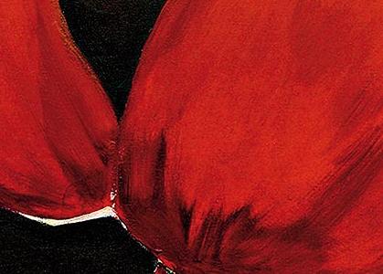 Фрагмент Красный мак I