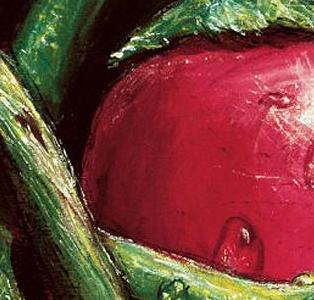 Фрагмент Красный перец