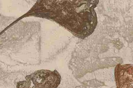 Фрагмент Креативгые фантазии 1