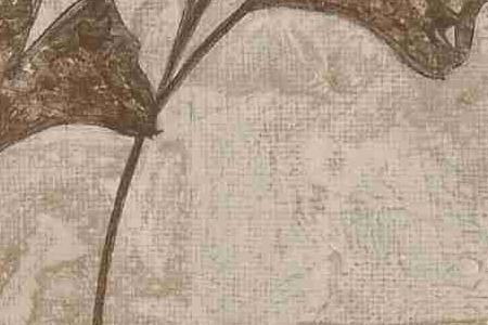 Фрагмент Креативгые фантазии 1