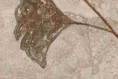 Фрагмент Креативгые фантазии 2