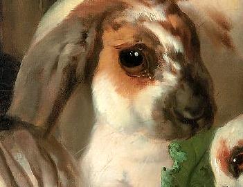 Фрагмент Кролики за ужином