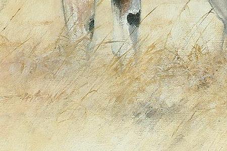 Фрагмент Kuch Buck