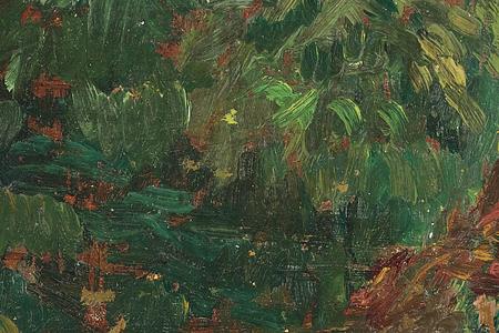 Фрагмент Куст роз в саду