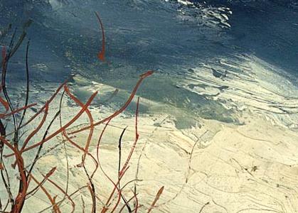 Фрагмент La ferme aux arbres