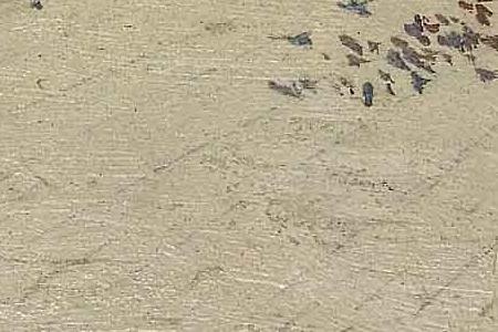 Фрагмент La Piazzetta Venezia