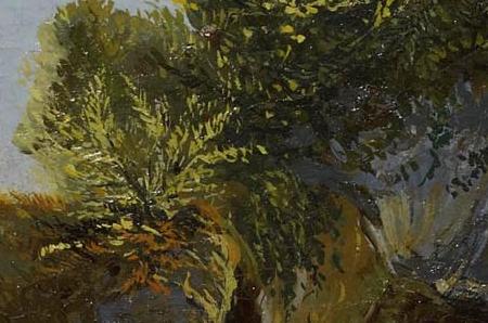 Фрагмент Lac L man pr s de Saint-Gingolph