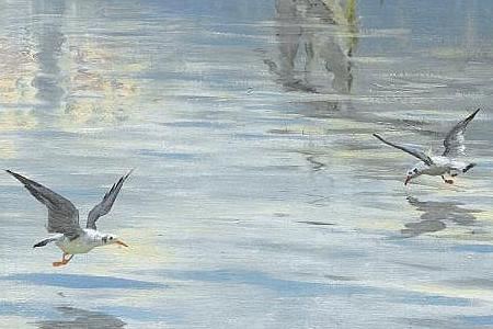 Фрагмент LAKE LIMAN  NEAR MONTREUX