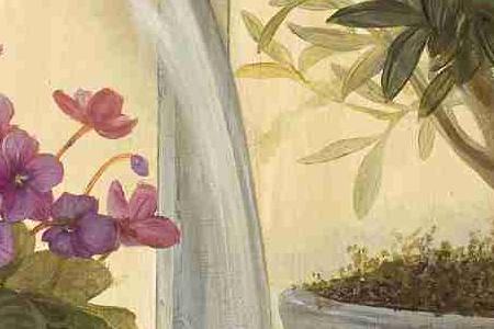 Фрагмент Lavander