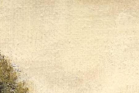 Фрагмент Lavender hills detail.