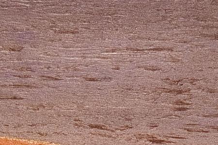 Фрагмент Le Chat Curieux