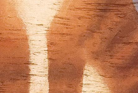 Фрагмент Le Chat Sommeillant.