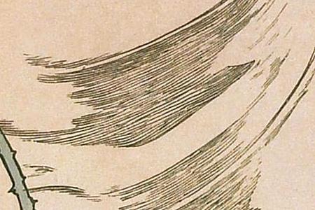 Фрагмент Les Fleurs 4