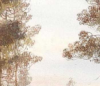 Фрагмент Лес в тумане