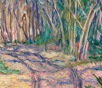 Фрагмент Лесная дорога