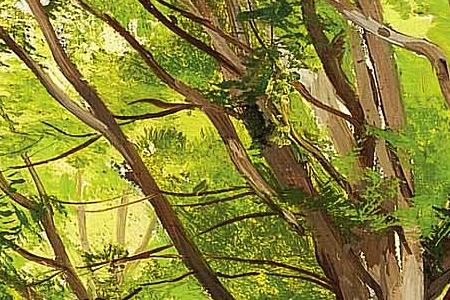 Фрагмент Лесная гладь