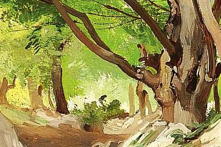 Фрагмент Лесная гладь