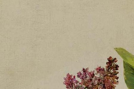 Фрагмент LILAS