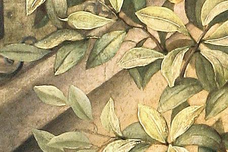 Фрагмент Лимоное дерево