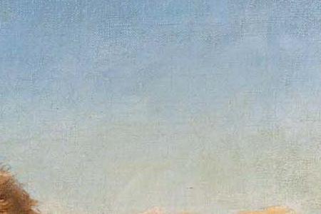 Фрагмент LION IN A MOUNTAINOUS LANDSCAPE