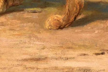 Фрагмент LION IN A MOUNTAINOUS LANDSCAPE