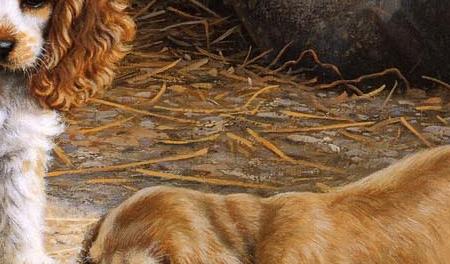 Фрагмент Litle Stinkers