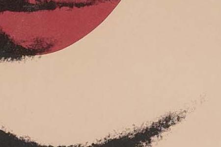 Фрагмент LIZ бордовый фон