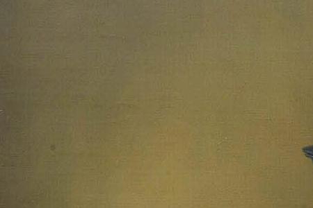 Фрагмент Lobster oysters and a lemon on a pewter plate with other objects on a table