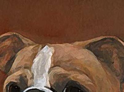 Фрагмент Luigi