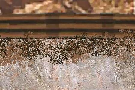 Фрагмент Львица и львята