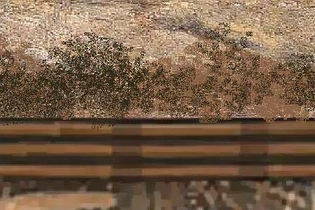 Фрагмент Львица и львята