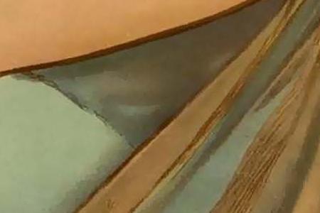 Фрагмент Мадам с виноградом