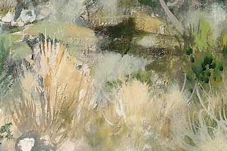 Фрагмент Maganosc Campagne de Grasse